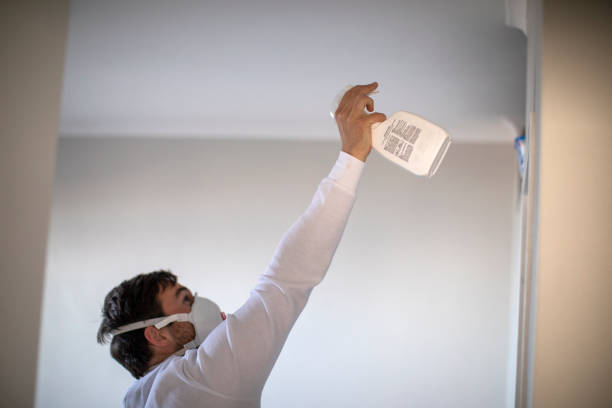 Best Industrial Mold Remediation in Corrigan, TX