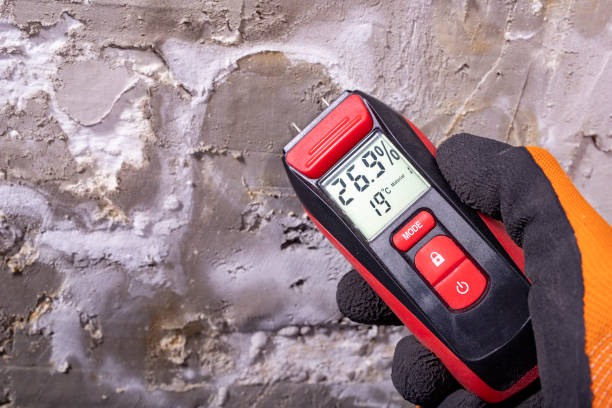 Best Commercial Mold Remediation in Corrigan, TX