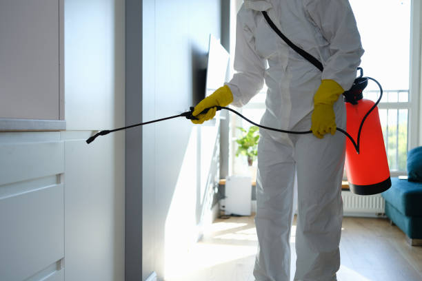 Best Crawl Space Mold Remediation in Corrigan, TX