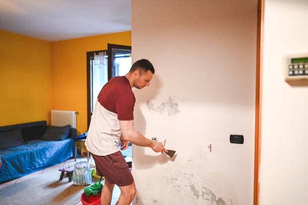 Best Mold Testing and Inspection Services in Corrigan, TX