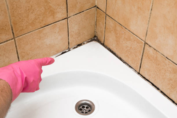 Best Residential Mold Remediation in Corrigan, TX